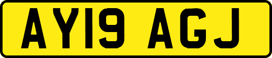 AY19AGJ