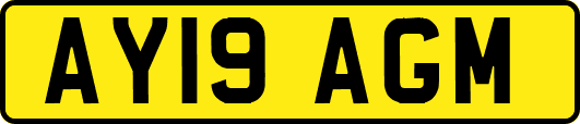 AY19AGM