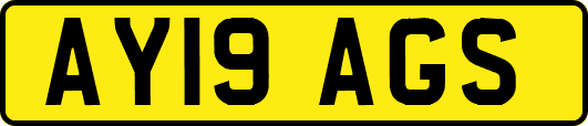 AY19AGS