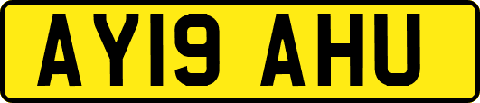 AY19AHU