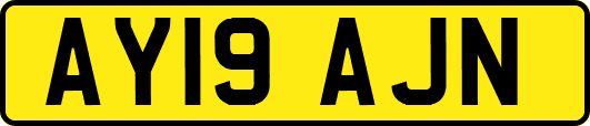 AY19AJN