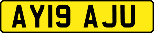 AY19AJU