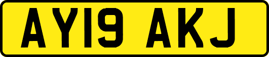 AY19AKJ