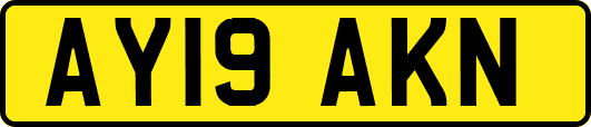 AY19AKN