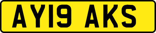 AY19AKS