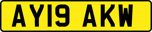 AY19AKW