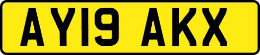 AY19AKX