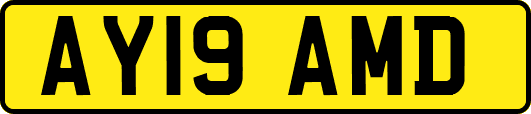 AY19AMD