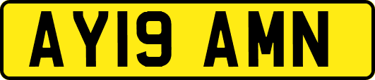 AY19AMN
