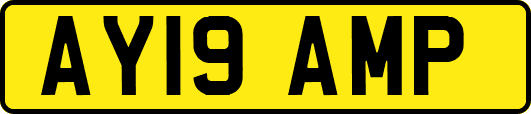 AY19AMP