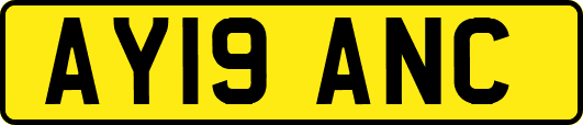 AY19ANC