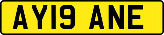AY19ANE
