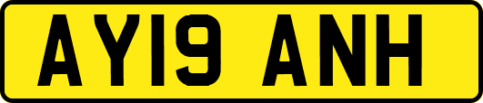 AY19ANH