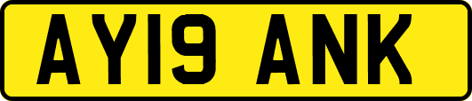 AY19ANK