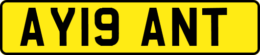 AY19ANT