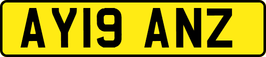 AY19ANZ