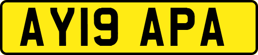 AY19APA