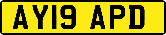 AY19APD