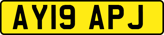 AY19APJ