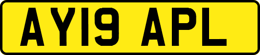 AY19APL