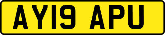 AY19APU