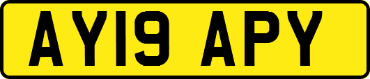 AY19APY