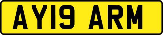 AY19ARM