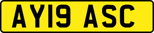AY19ASC