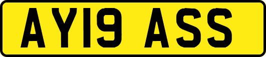 AY19ASS