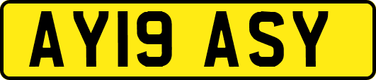 AY19ASY