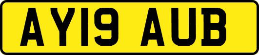 AY19AUB