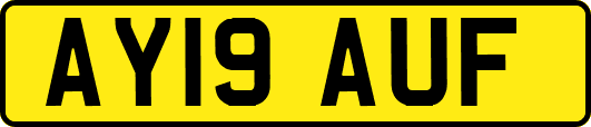 AY19AUF