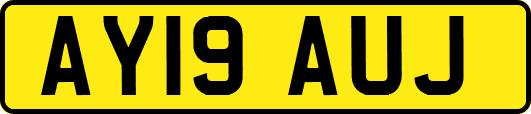 AY19AUJ