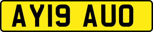 AY19AUO