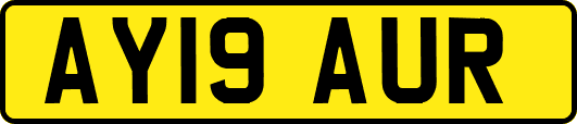AY19AUR