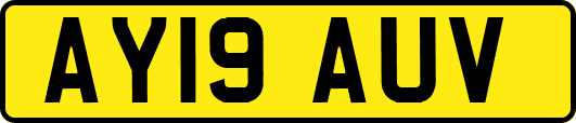 AY19AUV