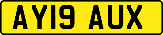 AY19AUX