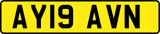 AY19AVN