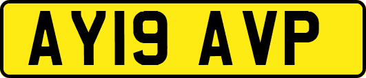 AY19AVP
