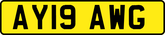 AY19AWG
