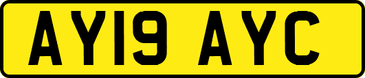AY19AYC