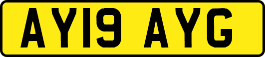 AY19AYG