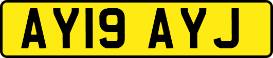 AY19AYJ