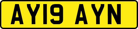 AY19AYN