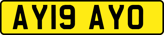 AY19AYO