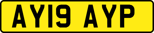AY19AYP