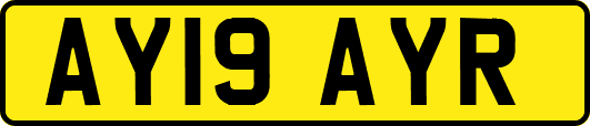AY19AYR