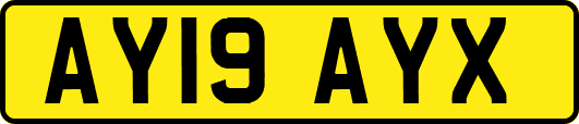 AY19AYX