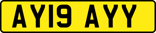 AY19AYY