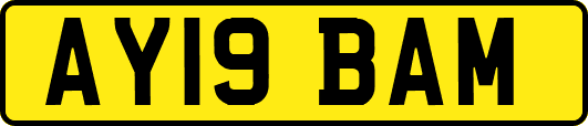 AY19BAM